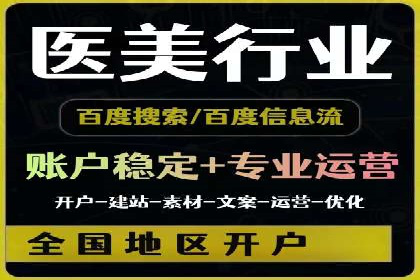 成功运用SEM服务实现品牌推广的案例分析